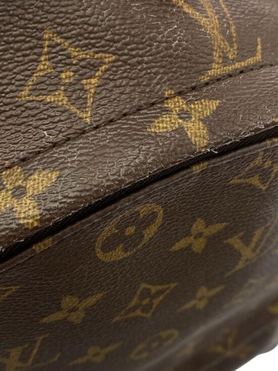 Louis Vuitton Monogram Palm Spring Backpack MM main image 6